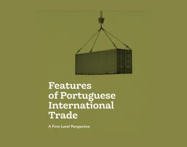 Imagem de Features of Portuguese International Trade: A Firm-Level Perspective