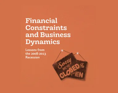 Imagem do estudo Financial Constraints and Business Dynamics