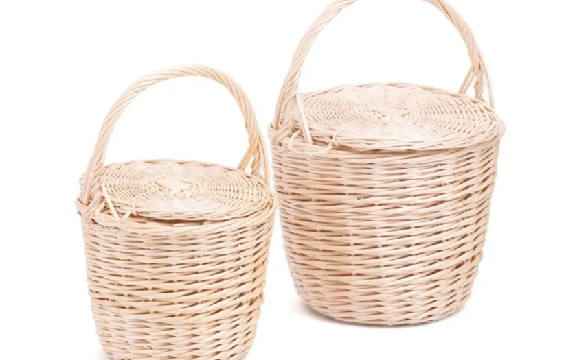 The Birkin basket