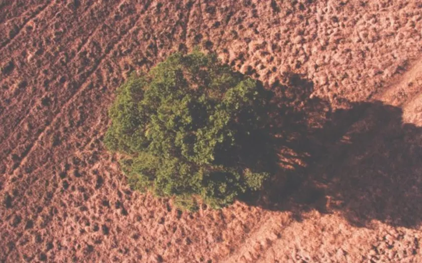 Num mundo mais quente, a palavra de ordem é adaptação