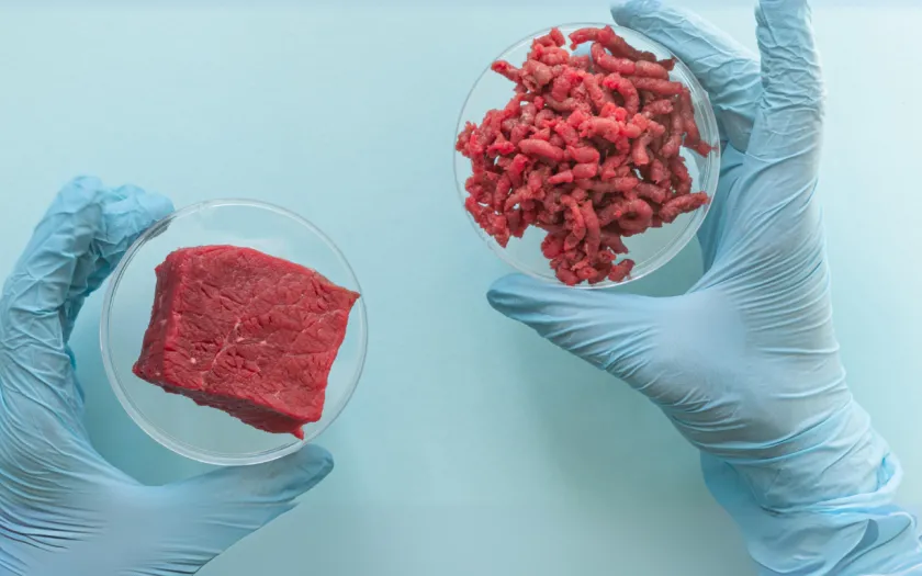 Imagem ilustrativa da lista «Carne produzida em laboratório: é este o futuro da alimentação?