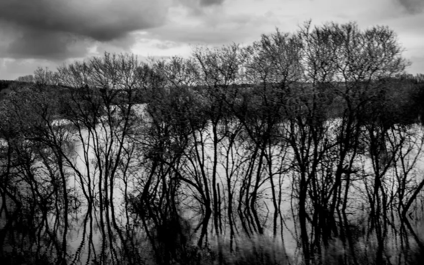 A água invade o campo, em Soure, deixando apenas a copa das árvores à superfície, devido à série de tempestades que assolam Portugal. Crédito:Miguel Valle Figueiredo.
