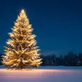 Imagem de uma árvore de Natal iluminada, numa planície coberta de neve. Crédito: Shutterstock