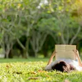 Uma rapariga jovem está a ler deitada na relva de um parque. Crédito: Shutterstock