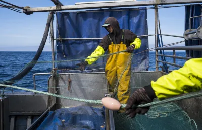 Pescador indonésio na Póvoa de Varzim. Crédito Daniel Rodrigues.