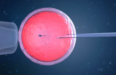 Imagem de um óvulo a ser fertilizado com técnicas de prociração medicamente assistida. Crédito: Canva