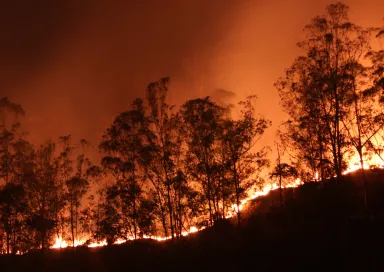 Capa debate Fogos florestais em Portugal: Antes, Durante e Depois