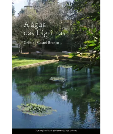 Imagem da capa do livro «A Água das Lágrimas», de Cristina Castel-Branco