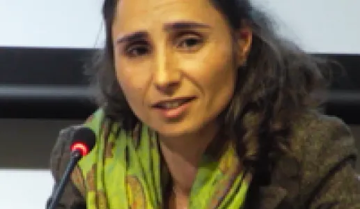 Imagem da antropóloga Catarina Frois, que tem estudado o fenómeno da criminalidade e marginalidade.