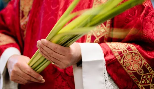 As Plantas e os Portugueses – Tradições Religiosas