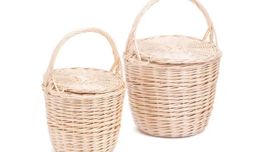 The Birkin basket