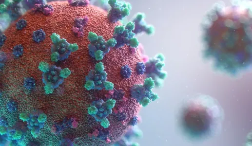 Três perguntas ao pneumologista Filipe Froes sobre a nova estirpe do coronavírus