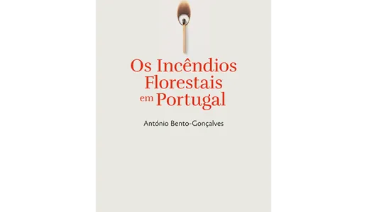 Os incêndios Florestais em Portugal