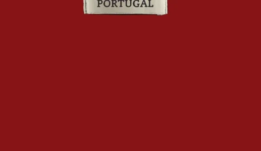 56 empresas portuguesas líderes de mercado