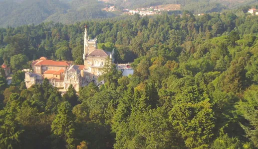 Capa artigo Buçaco bosque sagrado Mário Beja Santos