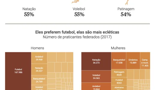 Infografia: O desporto em Portugal: masculino, com bola e insuficiente