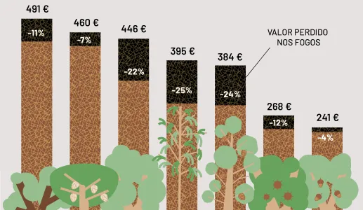 Quanto vale a floresta