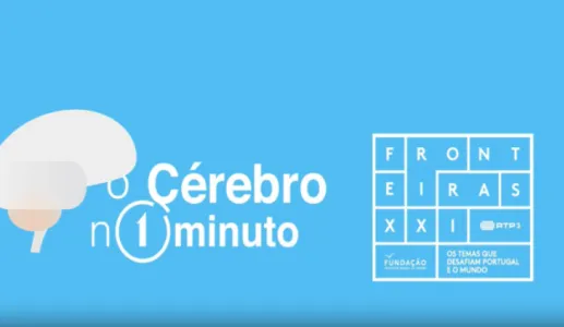 Infografia: "O cérebro num minuto"