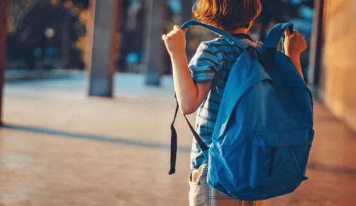 Imagem de um rapaz de mochila às costas a caminhar para a escola.