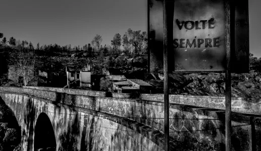 As cinzas deixadas pelos fogos em 2017, ano em que os incêndios provocaram mais mortes em Portugal.