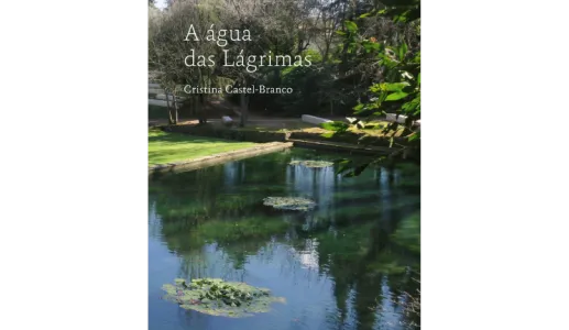 Imagem da capa do livro «A Água das Lágrimas», de Cristina Castel-Branco