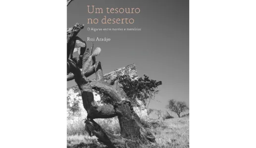 Imagem da capa do livro «Um Tesouro no Deserto, O Algarve entre montes e memórias», de Rui Araújo
