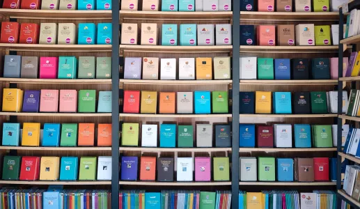 Imagem de uma estante com livros da coleção de Ensaios da Fundação, que foi criada há 15 anos.