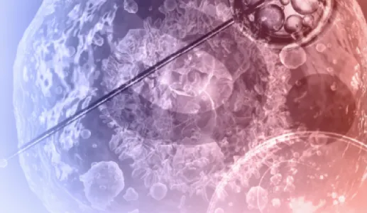 Imagem de uma célula humana para ilustrar o evento «Genética não é assim tão simples», com Alfonso Martinez Arias