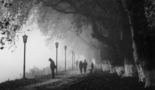 Pessoas passeiam de cabeça baixa, num jardim em dia de nevoeiro, sob um fundo cinzento. Crédito Canva