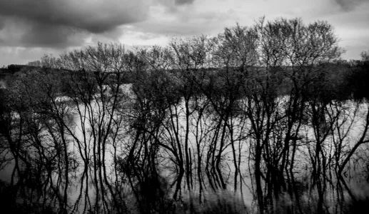 A água invade o campo, em Soure, deixando apenas a copa das árvores à superfície, devido à série de tempestades que assolam Portugal. Crédito:Miguel Valle Figueiredo.