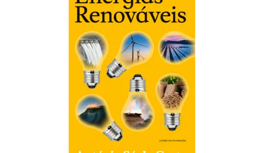 Capa de um livro da Fundação. É amarela, com várias fotografias de lâmpadas e o texto destacado "Energias Renováveis".