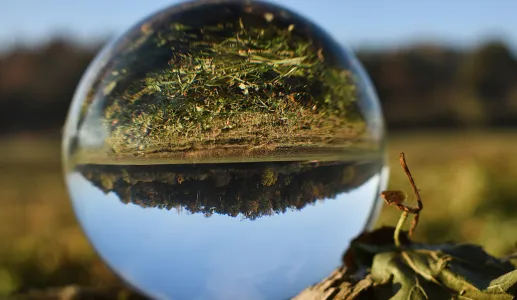 Imagem de uma bola de cristal, que reflete o mundo ao contrário. Crédito: Shutterstock.