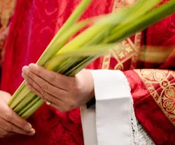 As Plantas e os Portugueses – Tradições Religiosas