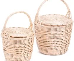 The Birkin basket