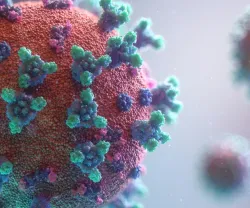 Três perguntas ao pneumologista Filipe Froes sobre a nova estirpe do coronavírus