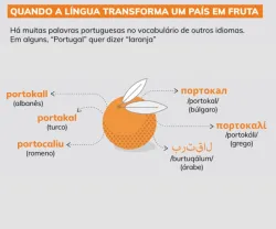 thumbnail infografia português modo de usar
