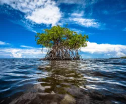 Capa Biodiversidade MCE 2022