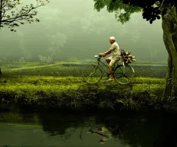 Homem idoso a andar de bicicleta, numa paisagem verde e enevoada.