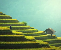 Uma pessoa nas escadas de arroz, com uma casa ao fundo sob um céu suave e azul.