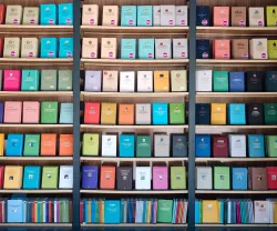 Imagem de uma estante com livros da coleção de Ensaios da Fundação, que foi criada há 15 anos.