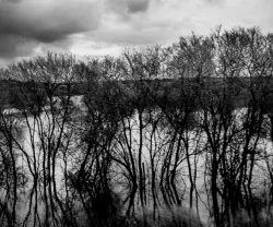 A água invade o campo, deixando apenas de fora a copa das árvores, devido à série de tempestades que assolam Portugal. Crédito:Miguel Valle Figueiredo.