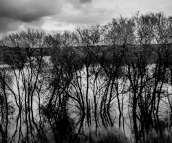 A água invade o campo, em Soure, deixando apenas a copa das árvores à superfície, devido à série de tempestades que assolam Portugal. Crédito:Miguel Valle Figueiredo.