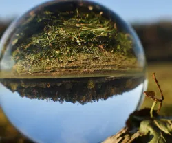 Imagem de uma bola de cristal, que reflete o mundo ao contrário. Crédito: Shutterstock.
